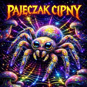 Pajęczak Cipny