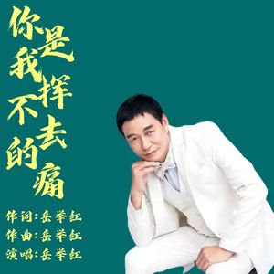 你是我挥不去的痛