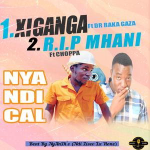 Xiganga xa vutomi (feat. Choppa ndi li seo la hone & Dr raka Gaza)