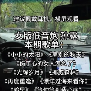 老歌串烧合集 (孙露版)