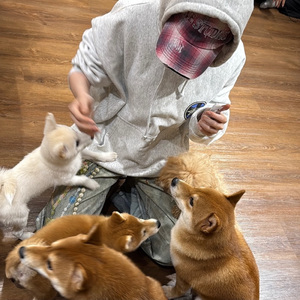 Lemon（纯音乐）