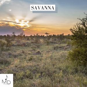 Savanna