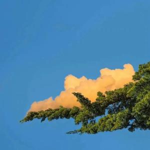 救（Prod.by Red Killer）