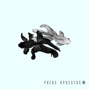 Polos Opuestos