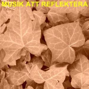 Musik Att Reflektera