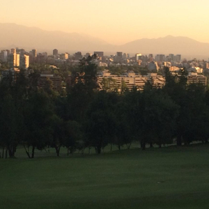 Tú