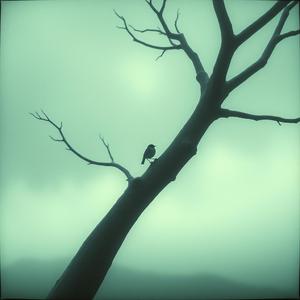 The Songbird sings (Dark emo folk) by @mr_martin
