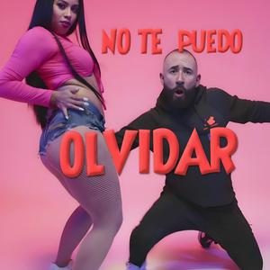 No Te Puedo Olvidar