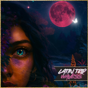 El Buscador y el Mago