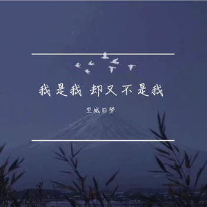 我是我 却又不是我