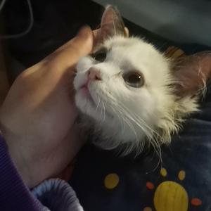 我和你(Prod EVO MUSIC)