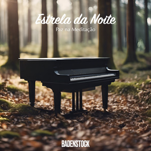 Contemplação Silenciosa