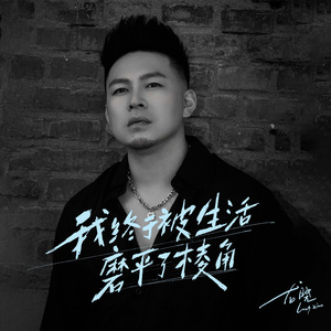 终于被生活磨平了棱角