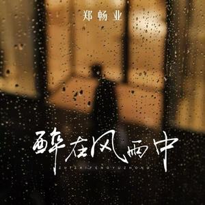 醉在风雨中