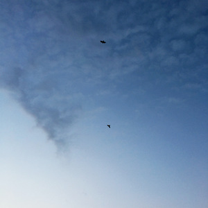 Давай забудем