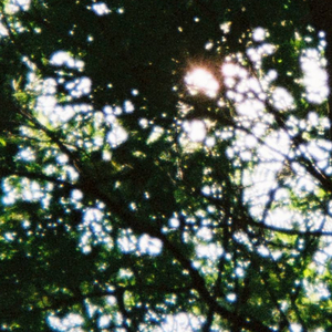 я буду ждать