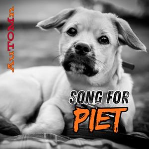 Kleine Pfoten neben meinem Schritt