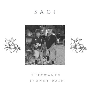 Sagi