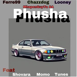 Phusha (Revisit)