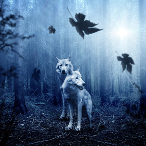 MOONLIGHT (Deep-House)