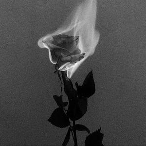 חמש אחוז בנשמה