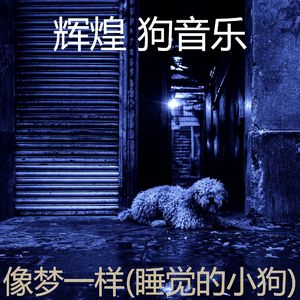 梦-睡觉的小狗