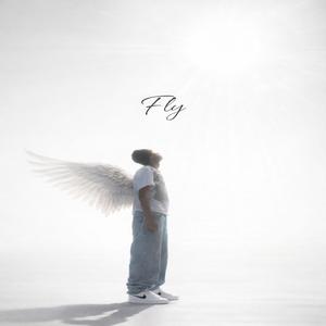 Fly