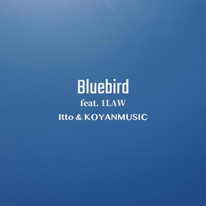 Bluebird