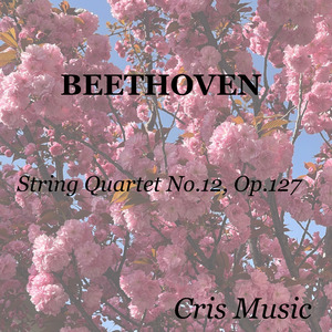 Beethoven: String Quartet No.12, Op.127: II. Adagio, ma non troppo e molto cantabile