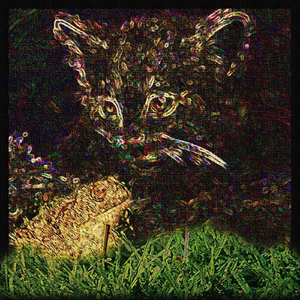 It's Time We Told You The Truth