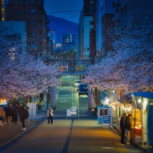 雨夜酒吧的怅然愁绪