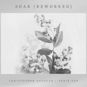 Soar (Reworked)