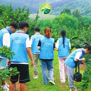 雁归千邑（“千邑”青年乡村振兴推广曲）