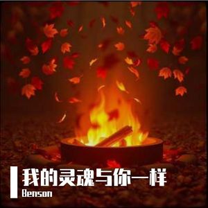 我的灵魂与你的一样