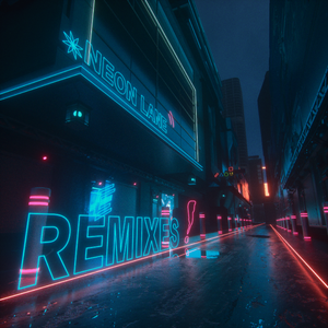 霓虹道 (PLSM Remix)