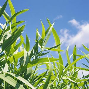 拥抱生活的酸甜苦辣