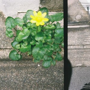 かんがえてみれば