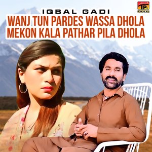 Wanj Tun Pardes Wassa Dhola Mekon Kala Pathar Pila Dhola