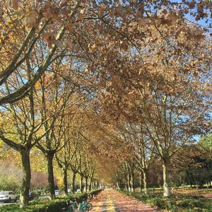 糟糕 prod.by Eee.T