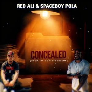 Concealed
