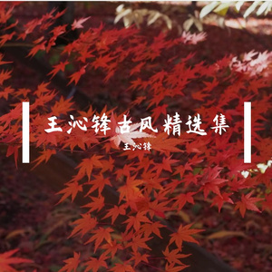 明月醉红颜 伴奏