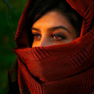 Rêwîyên Xakurkê