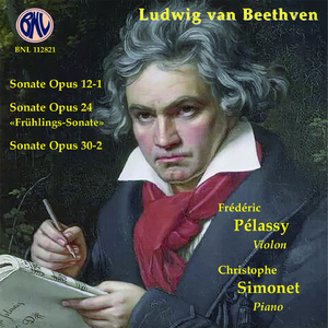 Violin Sonata in F Major, Op. 24:I. Allegro