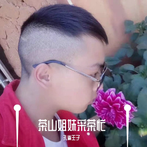 茶山姐妹采茶忙