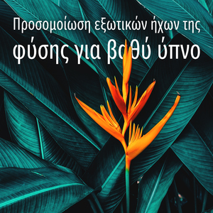 Κοιμηθείτε ήσυχα στον ήχο της βροχής