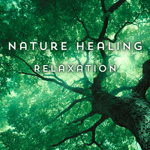 眠りの浅い貴方のための快眠音楽 1分で眠れるヒーリングギター (自律神経を整える睡眠用 森 鳥)