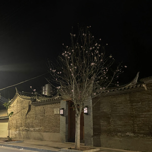 冷夜（cover 陈默之）