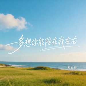 多想你能陪在我左右