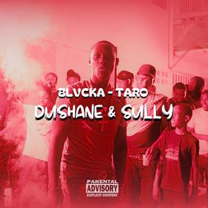 TARO - DUSHANE & SULLY