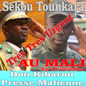 Sekou Tounkara Assimi Goita Président Du Mali, Pt. 3